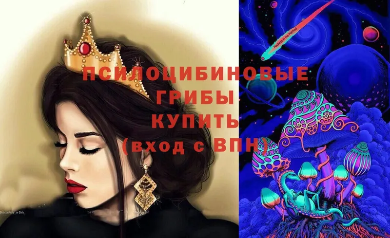 где найти   Советская Гавань  Галлюциногенные грибы Psilocybe 